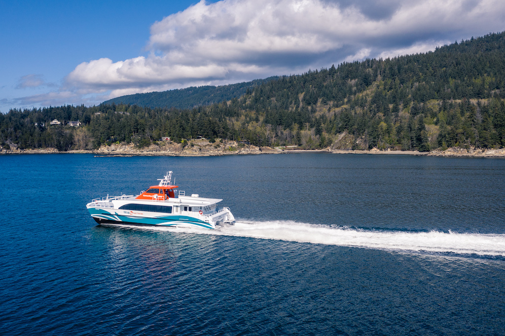 catamaran wake boat